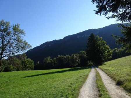 Regard arrière sur le retour