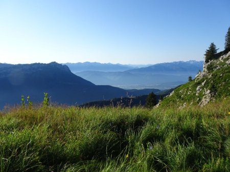 Antécime des Rochers de la Bade