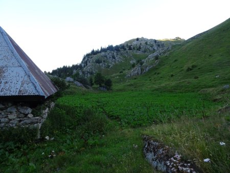 La Cave côté Rossanaz