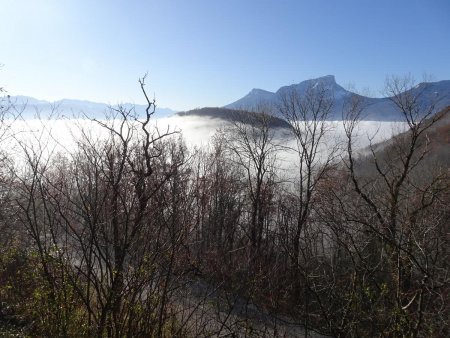 À la limite de la brume