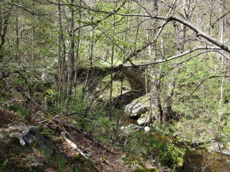 Pont sur la Têt