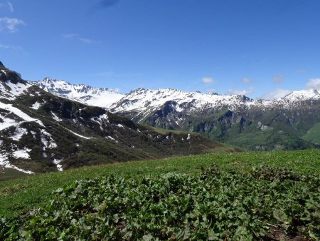 La Grande Berge : le Mont Coin