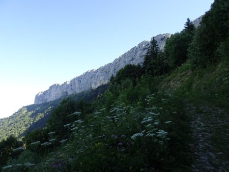 Sous le Col du Pertuis