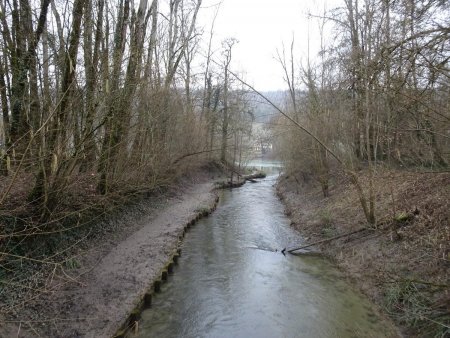 La Lône à son embouchure avec le Rhône