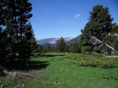 Le Dôme du Glandasse du plateau du Pas de la Plane