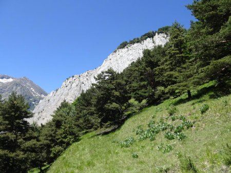 La Queue des Chars : vue sur la Crête de la Brèche