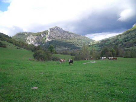 Pâturages de Bouvante, Roc et Col de la Croix