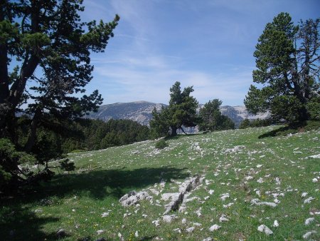 Le Dôme du Glandasse ou Pié Ferré