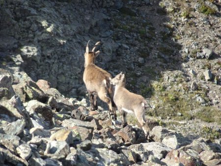 Rencontre