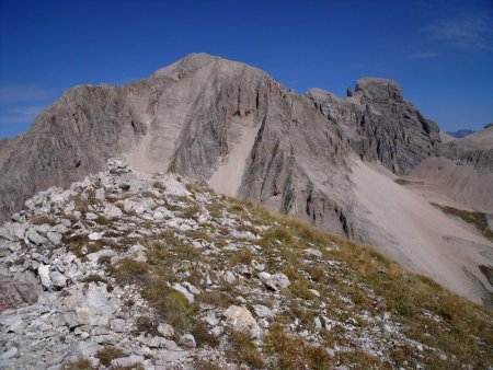 Tête de la cavale et obiou.