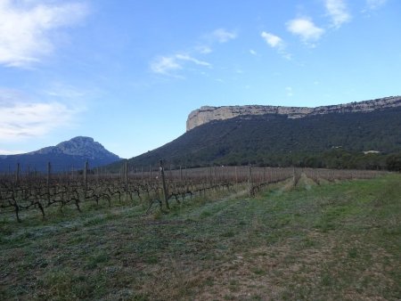 Pic St-Loup à gauche et Montagne d’Hortus à droite