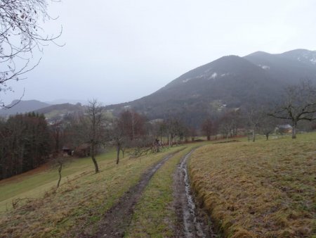 Descente vers le Molliet