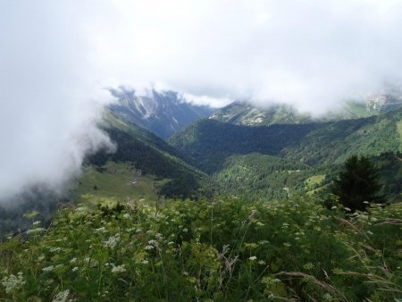 Au sommet du Parc du Mouton