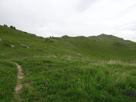 Sentier du Quermoz