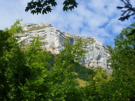 Zoom sur la falaise