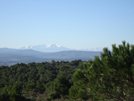 Au loin, les Pyrénées