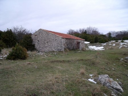 Bergerie sur le plateau