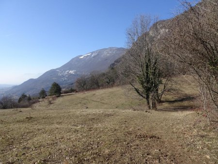 Les Chabouds : le mont Charvet