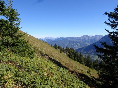 Arrivée sur la crête