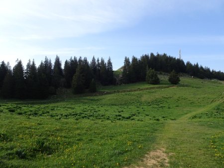 Les Charbonnières