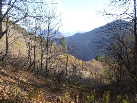 En montant vers l’alpage de Tête Noire