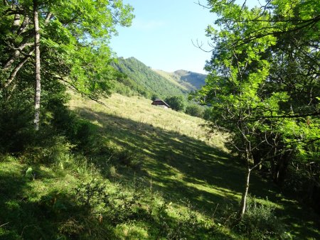 Arrivée dans l’alpage des Frasses