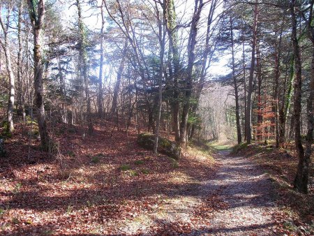 Très bon sentier et couleurs d’automne