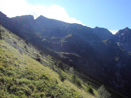 De l’alpage vers le sud, secteur du Grand Replomb