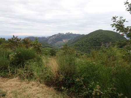 Au fond, les Dentelles de Montmirail