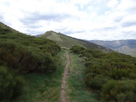 Tout au fond, Roche Fort