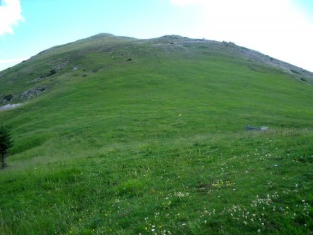 Au pied de la Tête de Querellaire vue du Col du Bachat.