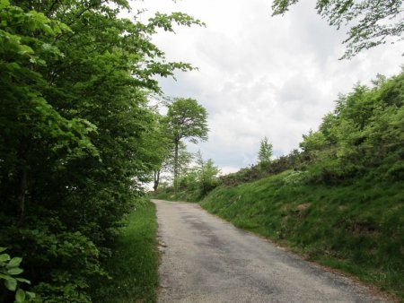 Dernière petite montée avant la courte descente vers le Port d’Ibañeta.