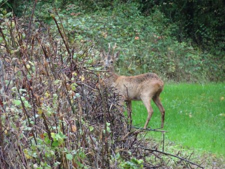 Rencontre