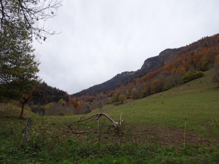 Montée vers les Chaffauds