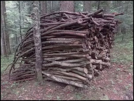 Réserve dans le Bois de Claret.