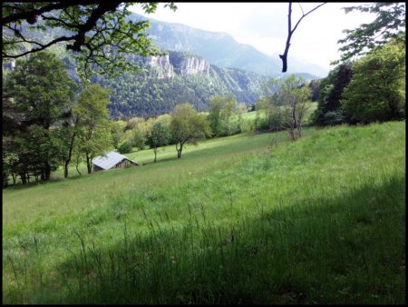 Belle prairie sous les Merciers.