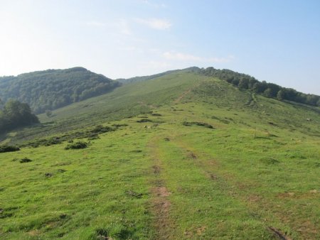 On va suivre ces traces de 4 x 4.