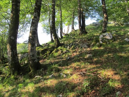 Un sentier moins marqué, et les rochers apparaissent.