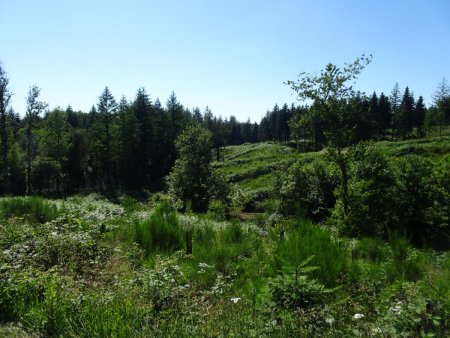 Retour à Sédières