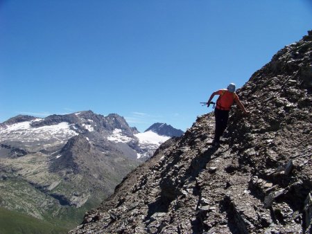 Retour dans un terrain à chamois.