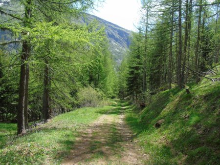 Piste de montée