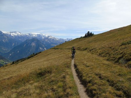 Descente sympa