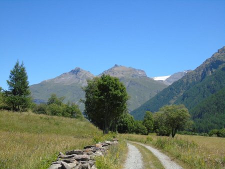 Chemin du petit bonheur