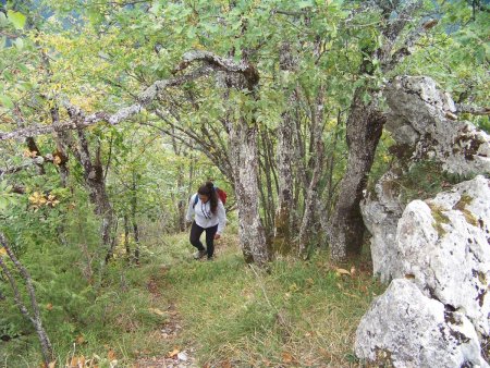 Montée au sommet de l’Ecoutoux.