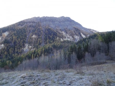 Mollard Pingon : regard sur le Mont Charvin