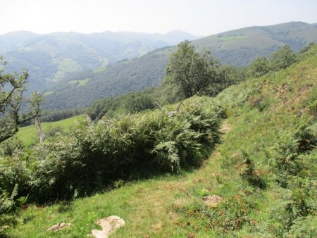 poursuite de la descente