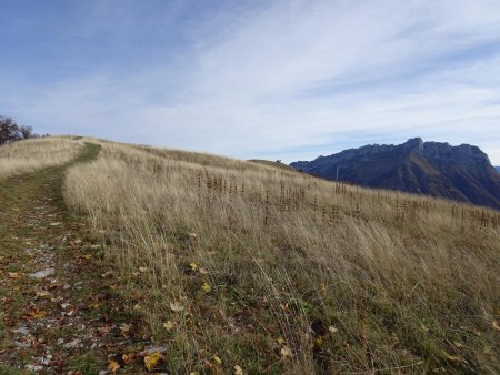 Montée vers le mont Pelat