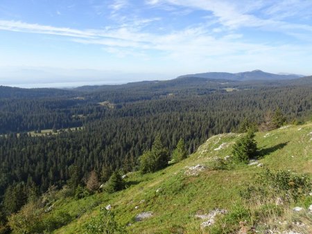 Mont Sâla : vue sur le Léman