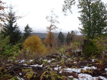 Montagne de Lachat : au loin, la montagne des Ébats