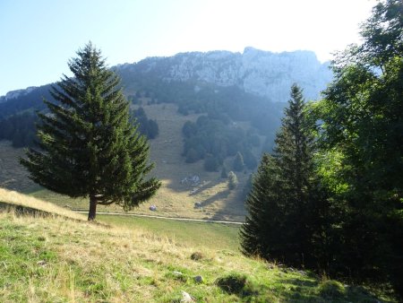 Arrivée à l’alpage